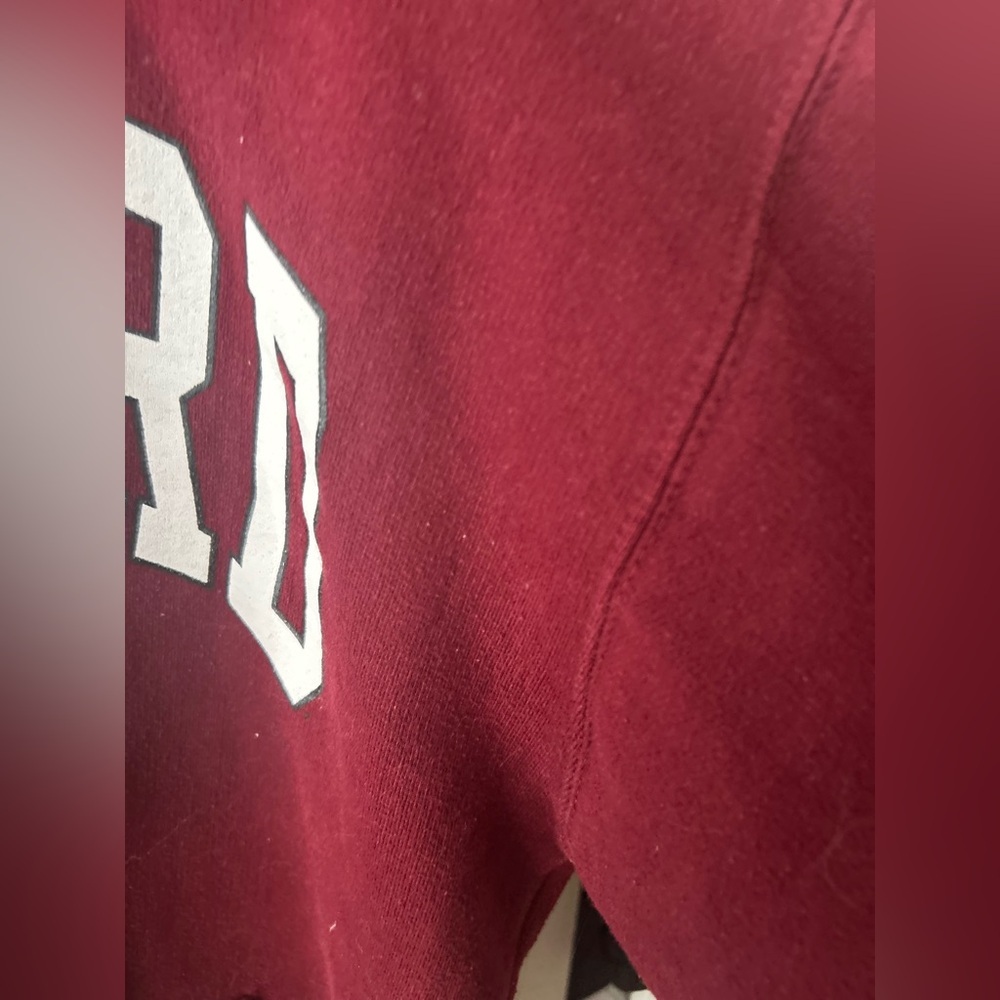 Thick and oversized Harvard printed hoodie - Picture 5 of 12
